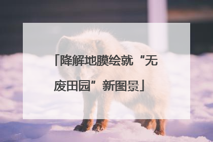 降解地膜绘就“无废田园”新图景