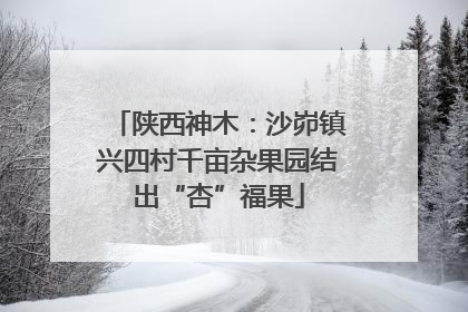 陕西神木：沙峁镇兴四村千亩杂果园结出“杏”福果