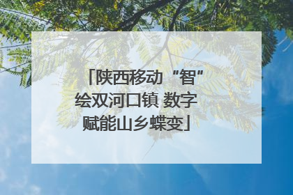 陕西移动“智”绘双河口镇 数字赋能山乡蝶变