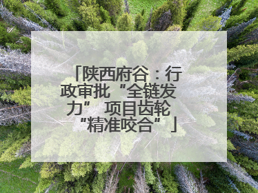 陕西府谷：行政审批“全链发力” 项目齿轮“精准咬合”