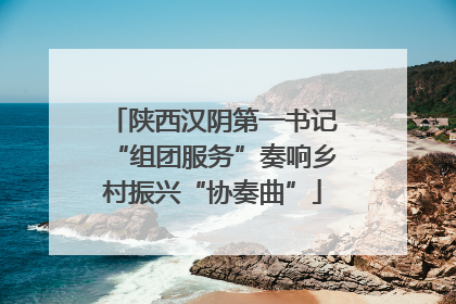陕西汉阴第一书记“组团服务”奏响乡村振兴“协奏曲”