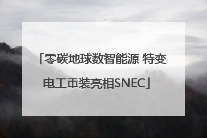 零碳地球数智能源 特变电工重装亮相SNEC