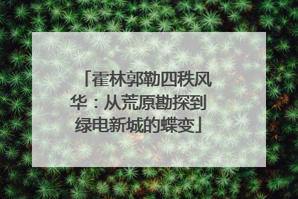 霍林郭勒四秩风华：从荒原勘探到绿电新城的蝶变