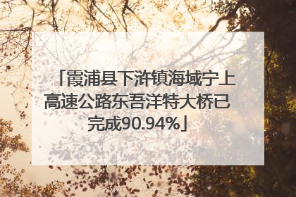 霞浦县下浒镇海域宁上高速公路东吾洋特大桥已完成90.94%