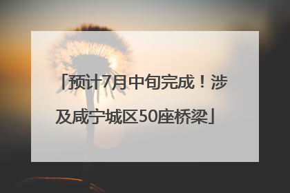 预计7月中旬完成！涉及咸宁城区50座桥梁