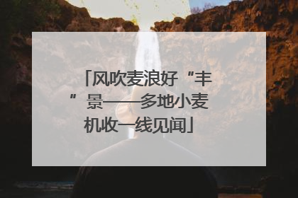 风吹麦浪好“丰”景——多地小麦机收一线见闻