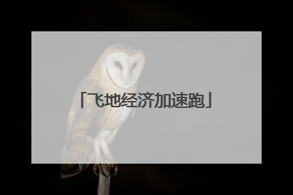 飞地经济加速跑