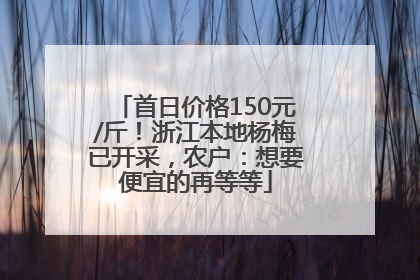 首日价格150元/斤！浙江本地杨梅已开采，农户：想要便宜的再等等