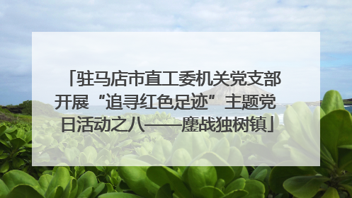 驻马店市直工委机关党支部开展“追寻红色足迹”主题党日活动之八——鏖战独树镇
