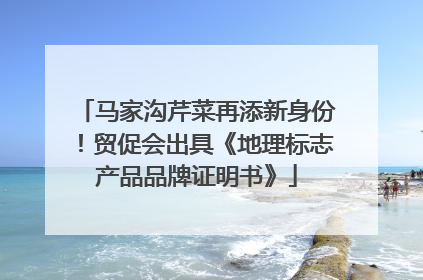 马家沟芹菜再添新身份！贸促会出具《地理标志产品品牌证明书》