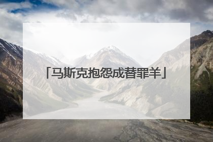 马斯克抱怨成替罪羊