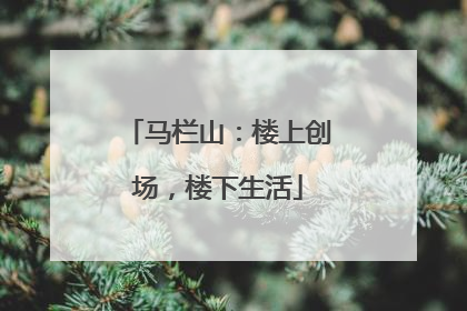 马栏山：楼上创场，楼下生活