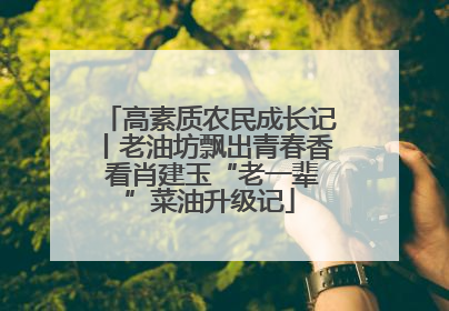 高素质农民成长记丨老油坊飘出青春香 看肖建玉“老一辈”菜油升级记