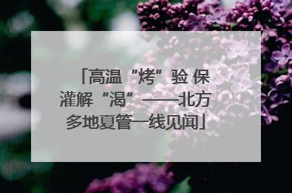高温“烤”验 保灌解“渴”——北方多地夏管一线见闻