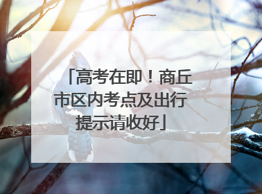 高考在即！商丘市区内考点及出行提示请收好