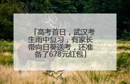 高考首日，武汉考生雨中复习，有家长带向日葵送考，还准备了678元红包