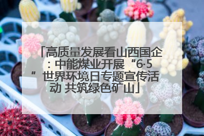 高质量发展看山西国企：中能煤业开展“6·5”世界环境日专题宣传活动 共筑绿色矿山