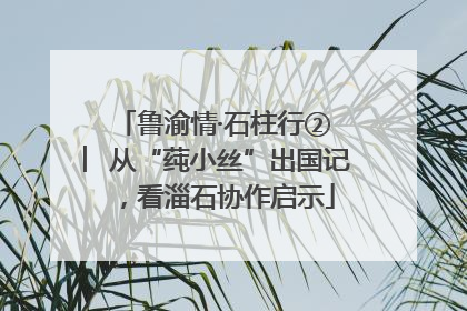 鲁渝情·石柱行② ︳从“莼小丝”出国记，看淄石协作启示