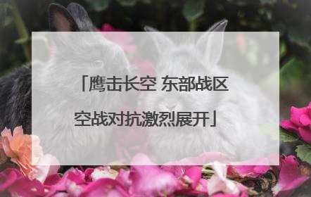 鹰击长空 东部战区空战对抗激烈展开