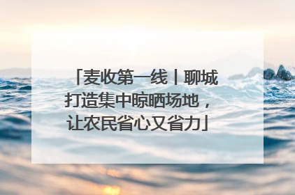 麦收第一线丨聊城打造集中晾晒场地，让农民省心又省力
