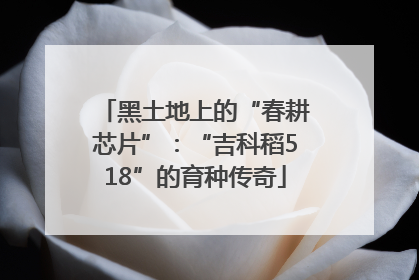 黑土地上的“春耕芯片”：“吉科稻518”的育种传奇