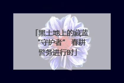黑土地上的藏蓝“守护者” 春耕警务进行时