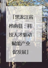 黑龙江省桦南县：科技人才驱动 赋能产业促发展