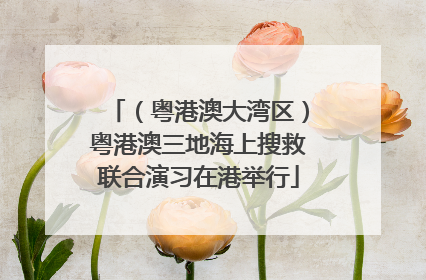 （粤港澳大湾区）粤港澳三地海上搜救联合演习在港举行