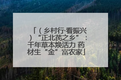 （乡村行·看振兴）“正北芪之乡”：千年草本焕活力 药材生“金”富农家