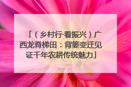 （乡村行·看振兴）广西龙脊梯田：背篓变迁见证千年农耕传统魅力