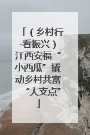 （乡村行·看振兴）江西安福“小西瓜”撬动乡村共富“大支点”
