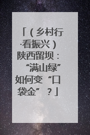 （乡村行·看振兴）陕西留坝：“满山绿”如何变“口袋金”？