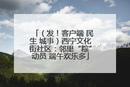 （发！客户端 民生 城事）西宁文化街社区：邻里“粽”动员 端午欢乐多