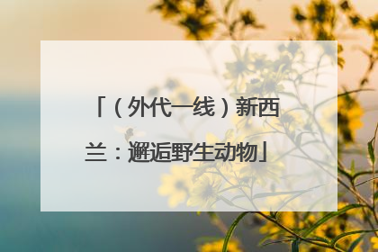 （外代一线）新西兰：邂逅野生动物