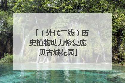 （外代二线）历史植物助力修复庞贝古城花园