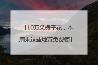 10万朵栀子花，本周末这些地方免费领