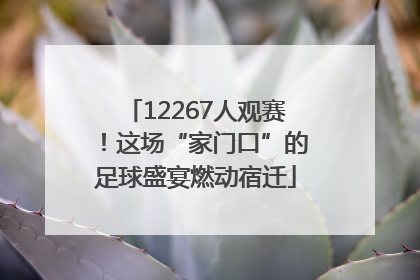 12267人观赛！这场“家门口”的足球盛宴燃动宿迁