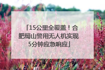 15公里全覆盖！合肥蜀山警用无人机实现5分钟应急响应
