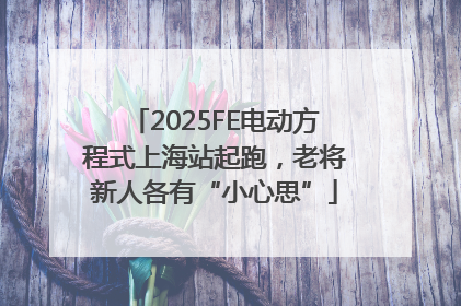 2025FE电动方程式上海站起跑，老将新人各有“小心思”