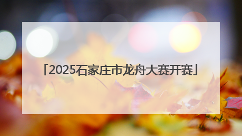2025石家庄市龙舟大赛开赛