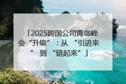 2025跨国公司青岛峰会“升级”：从 “引进来” 到 “链起来”