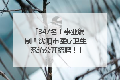 347名！事业编制！沈阳市医疗卫生系统公开招聘！