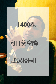 400株向日葵空降武汉校园