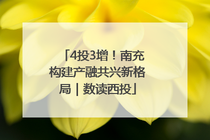 4投3增！南充构建产融共兴新格局｜数读西投