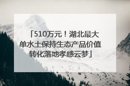 510万元！湖北最大单水土保持生态产品价值转化落地孝感云梦