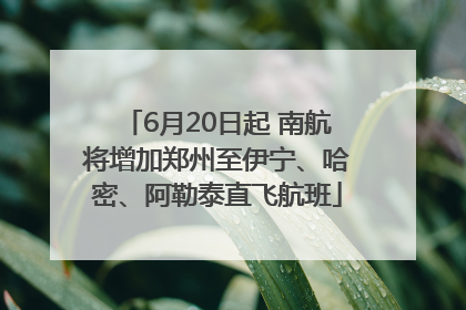 6月20日起 南航将增加郑州至伊宁、哈密、阿勒泰直飞航班