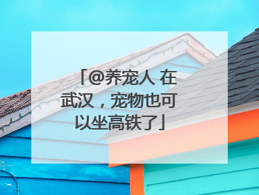 @养宠人 在武汉，宠物也可以坐高铁了