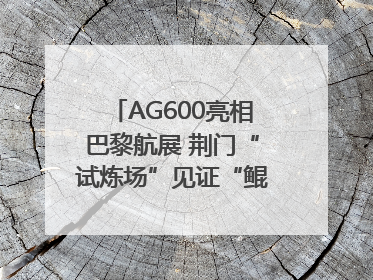 AG600亮相巴黎航展 荆门“试炼场”见证“鲲龙”腾飞