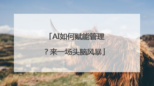 AI如何赋能管理？来一场头脑风暴