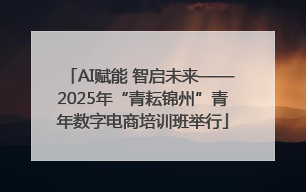 AI赋能 智启未来——2025年“青耘锦州”青年数字电商培训班举行